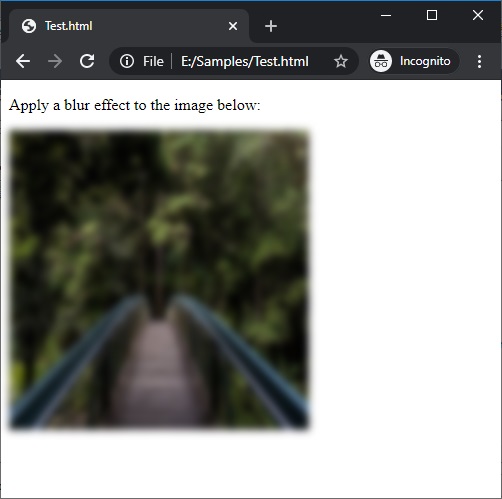 CSS | blur an image | Example