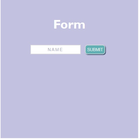 forms in JavaScript Example Image 1