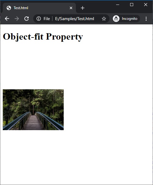 CSS | object-fit Property | Example 4