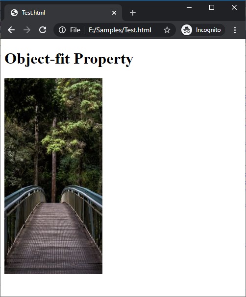 CSS | object-fit Property | Example 5