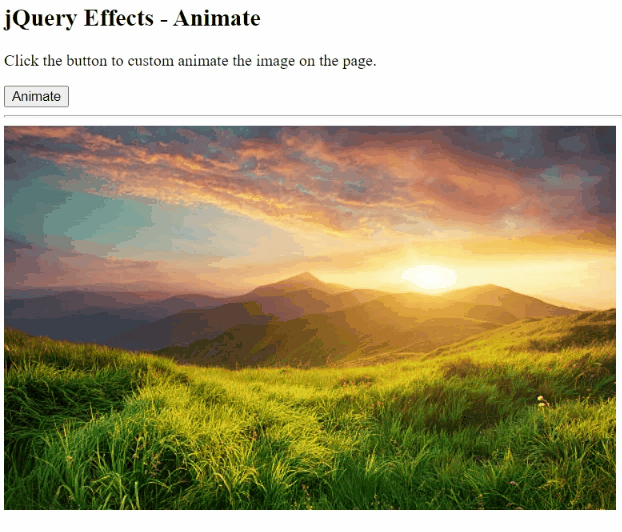 jQuery animate() Using Different Ways (2)