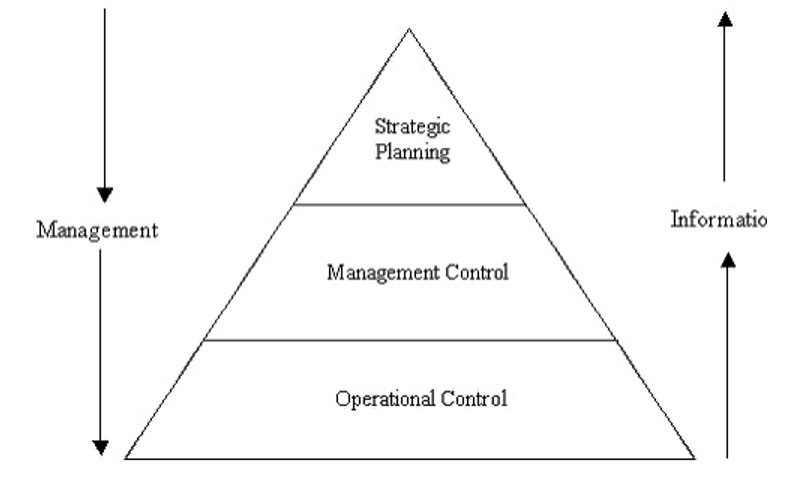 mis structure based on management activity