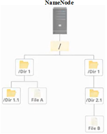 File Management Using NameNode