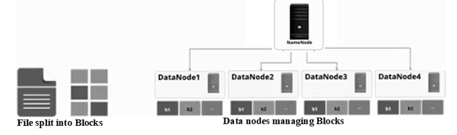 Fig: DataNode with Blocks