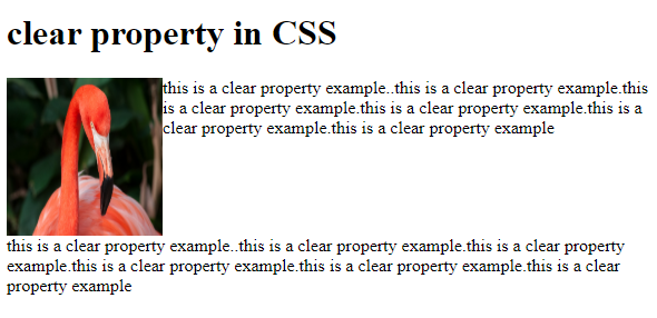 clear Property in CSS | Example 1