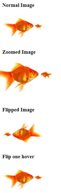 flip an image, zoom an image using CSS