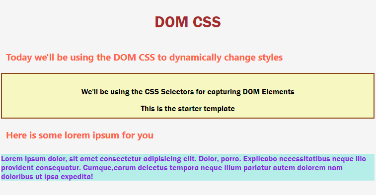 JavaScript DOM CSS