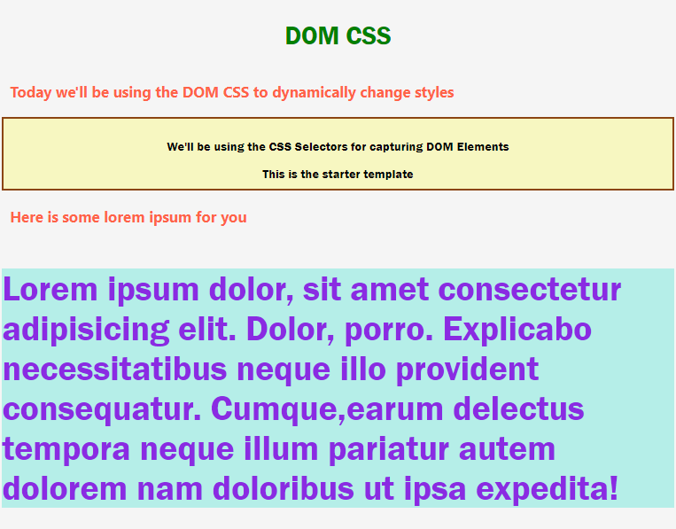 JavaScript DOM CSS