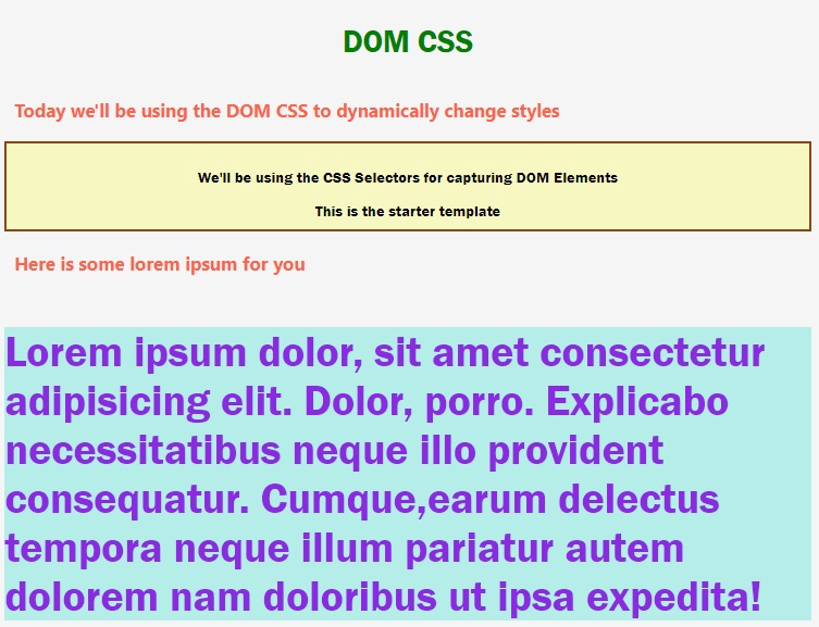 JavaScript DOM CSS