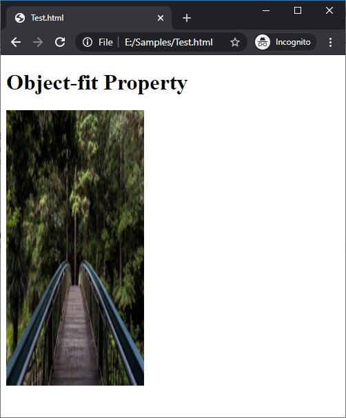 CSS | object-fit Property | Example 1