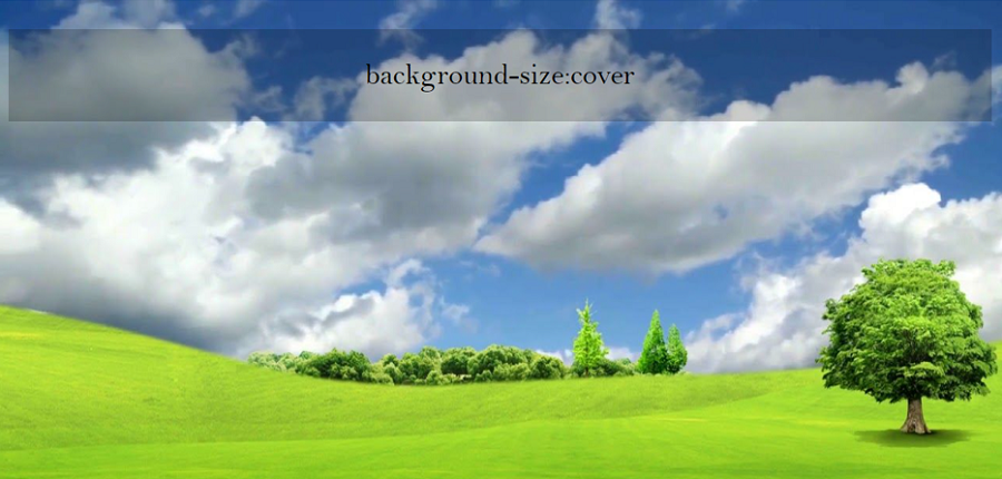 CSS background image scaling là một trong những công cụ hữu ích nhất để tạo bố cục cho trang web của bạn. Hãy xem hình ảnh để hiểu rõ hơn về CSS background image scaling và làm thế nào để tăng tính thẩm mỹ cho trang web của bạn. Bạn sẽ thu hút được nhiều khách hàng hơn và làm cho trang web của bạn nổi bật hơn trong thị trường cạnh tranh ngày càng gay gắt.