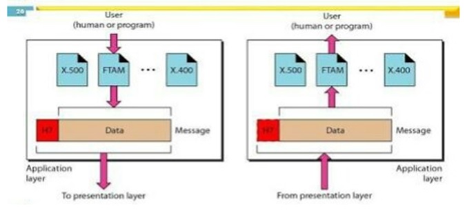 application and presentation layer