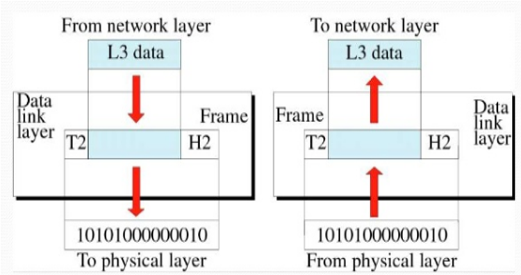 data link layer 1