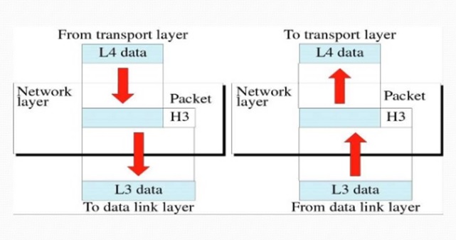 Network Layer