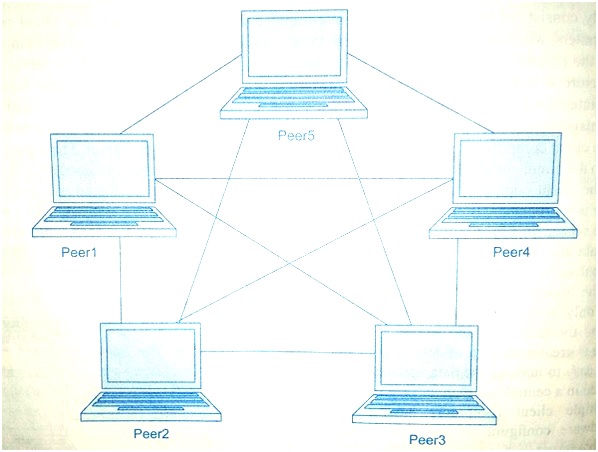 A PPN Network