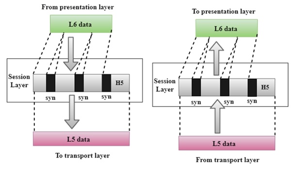 Session Layer