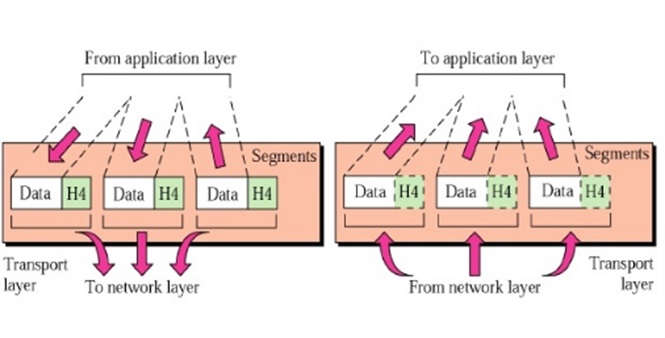 Transport layer