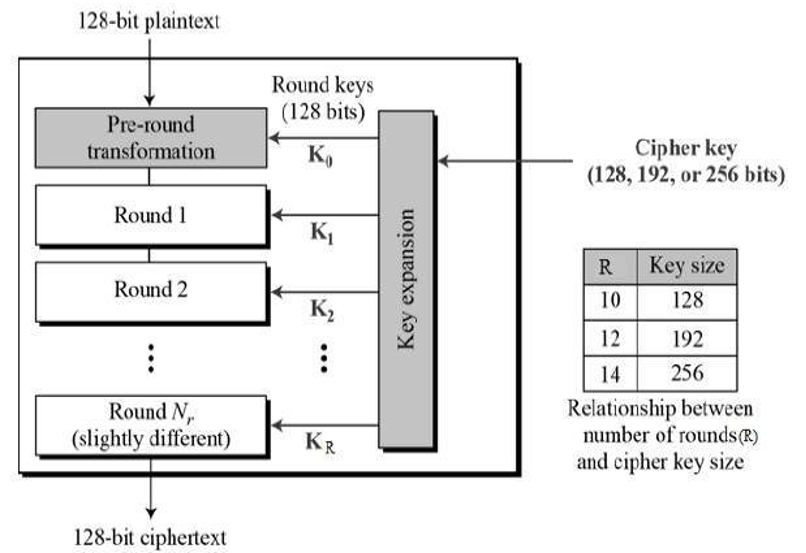 AES (4)