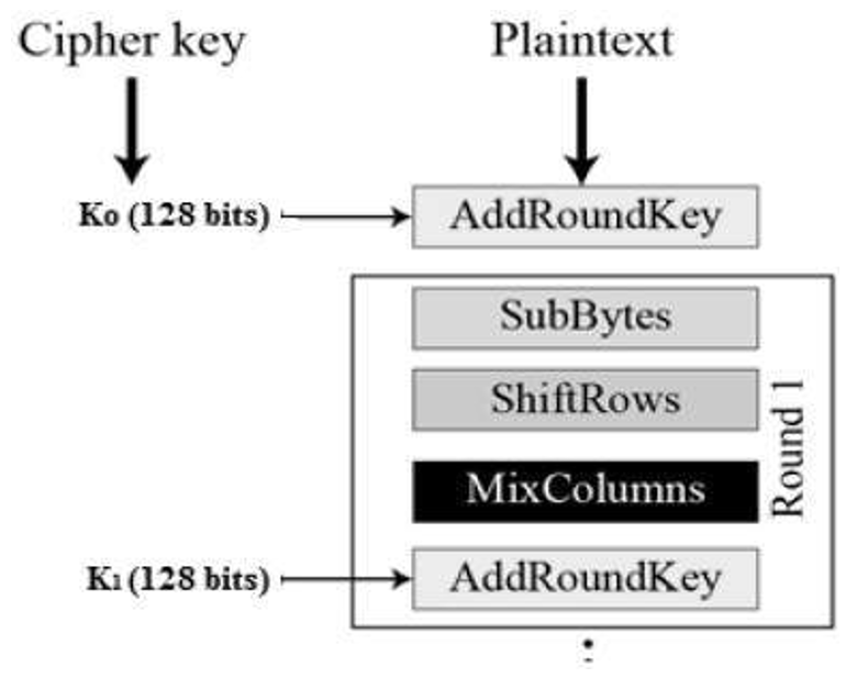 AES (5)