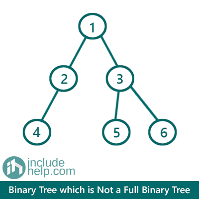 Full binary tree (2)