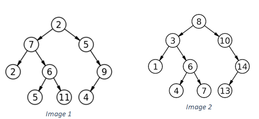 structurally identical trees