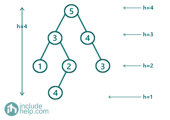 Sum of heights of all the nodes (1)