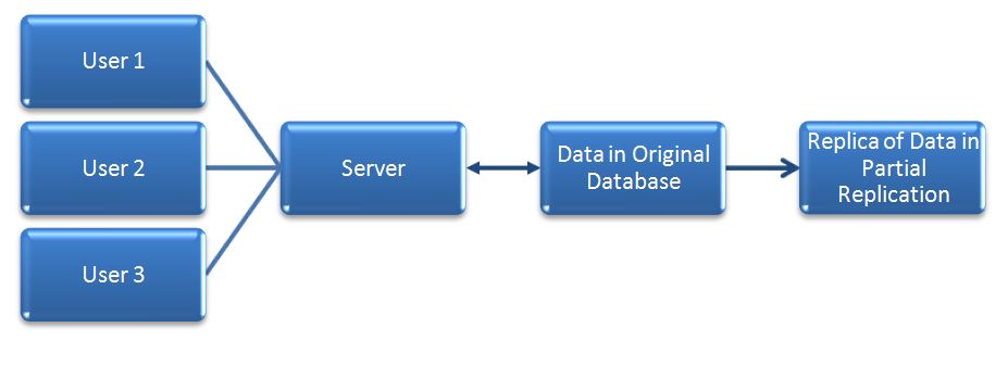 Partial Replication