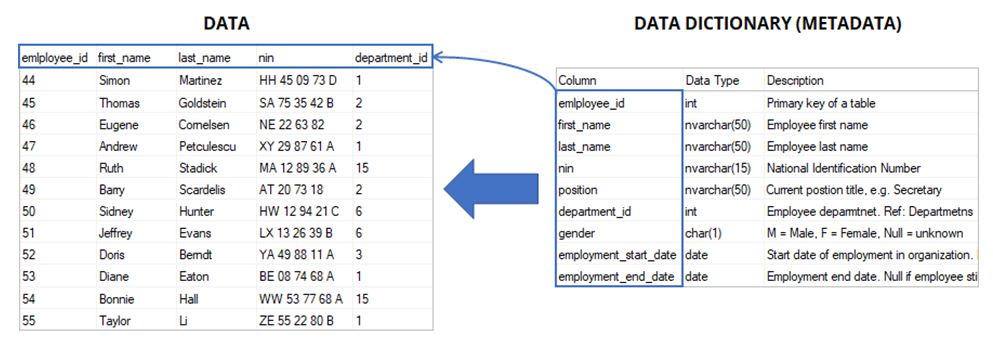 Data Dictionary in DBMS