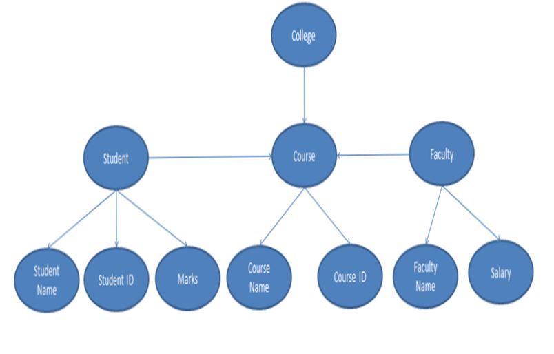 network database