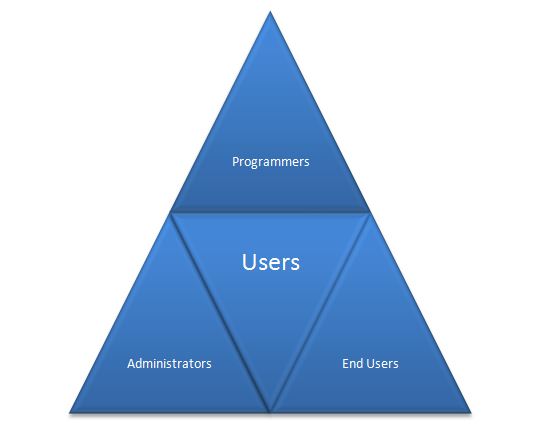 users in DBMS