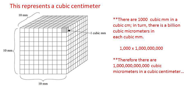 Cubic Capacity/ Cubic Centimeter