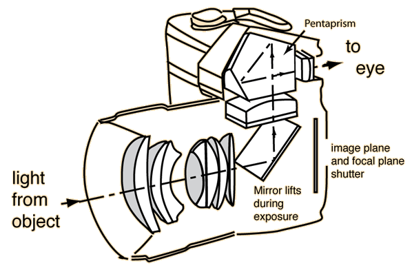 SLR full form