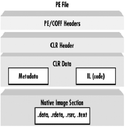 .Net PE File Format