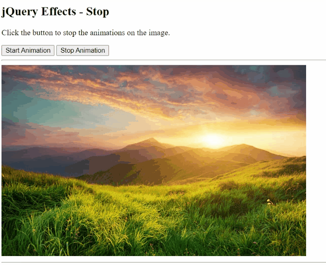jQuery Effects - Stop Animations