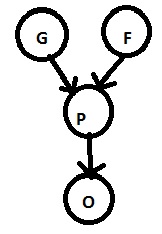 PGMs Example