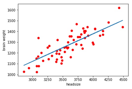 rmse in ML/AI - output