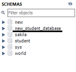 MySQL Create Database on Workbench (5)
