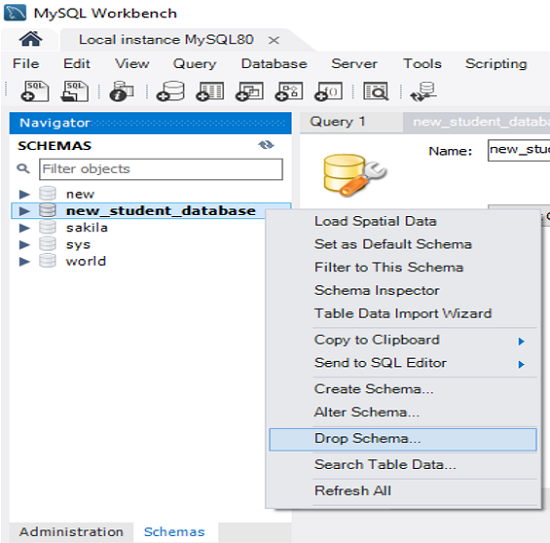 DROP DATABASE Statement (Step 4)