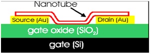 Nanotube FET