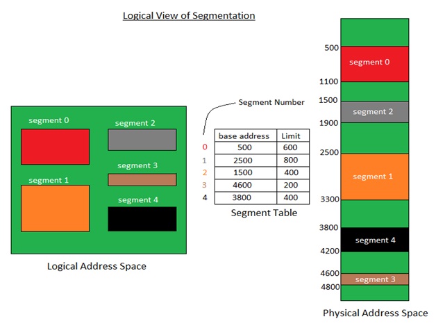 local view of segmentation