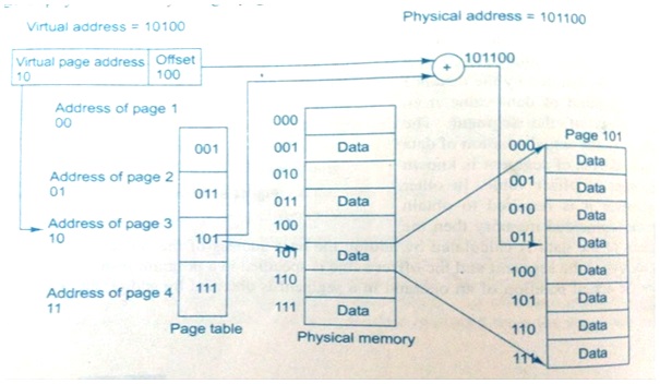 virtual address in paging - OS