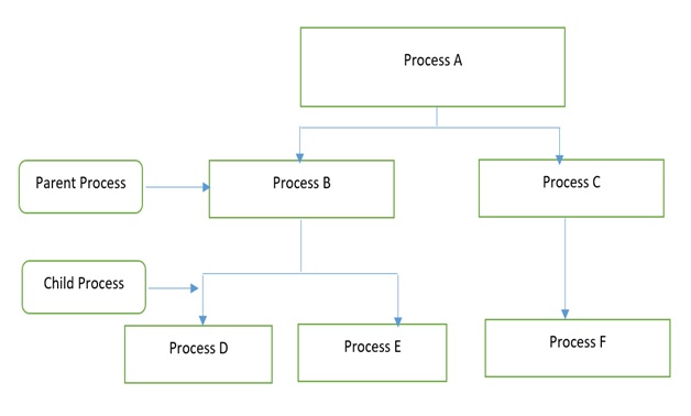 Process Operations in Operating System