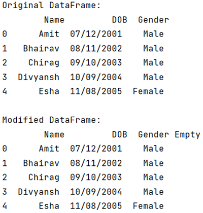 Output | Add an empty column to a DataFrame