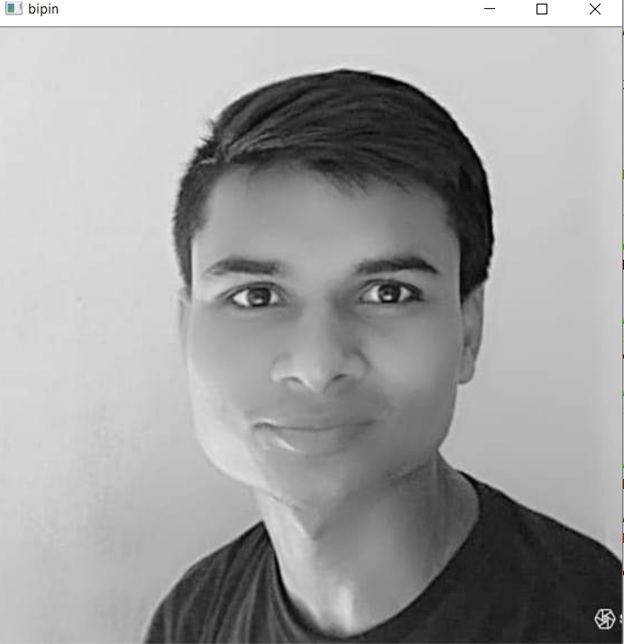 OpenCV Image to Black and White in Python