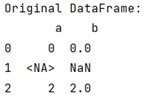 Example 1: pd.NA vs np.nan for pandas