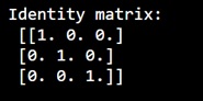 Example: How to print a unit matrix?