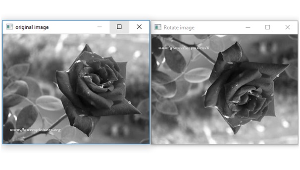 rotate a grayscale image in Python - output