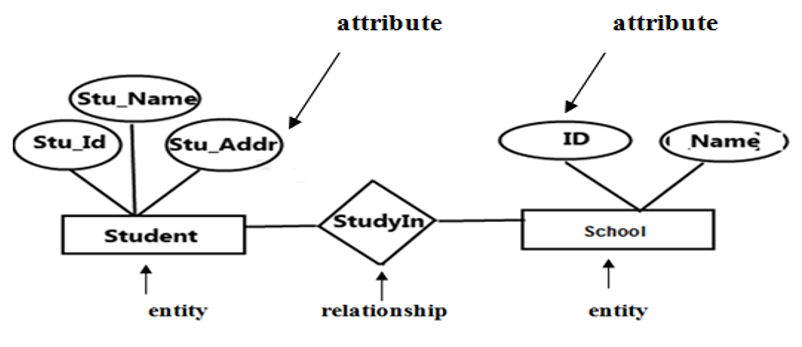 ER-Model Entity