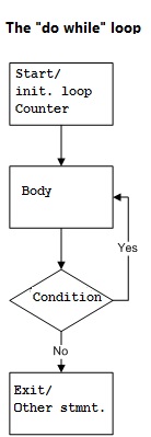 C Language while loop